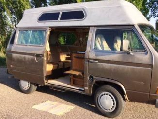 1984 cedaredge co