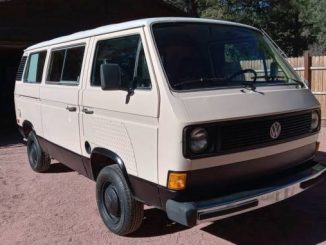 1981 pine az